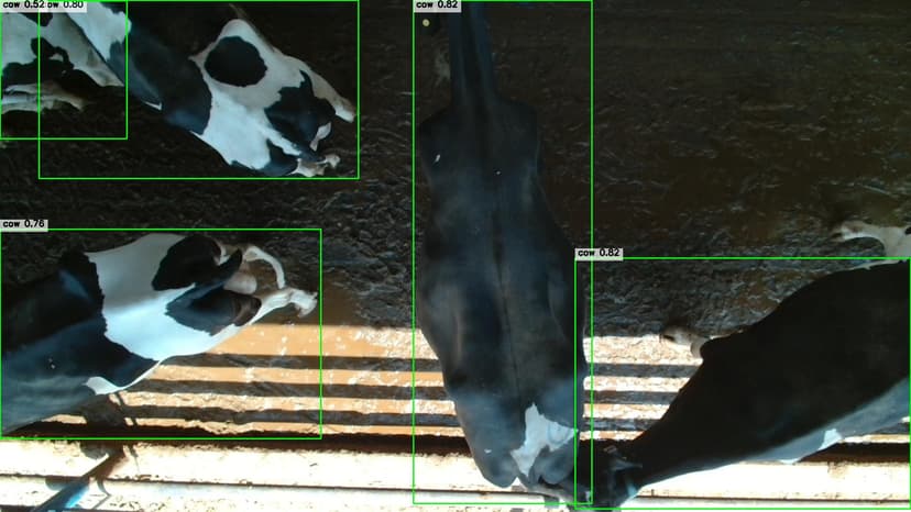 Livestock monitoring system